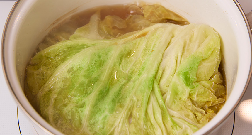 写真 【A】を加えて沸騰させ、さらに弱火で10分煮込む。